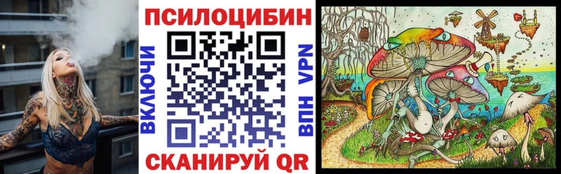 как найти закладки  Чистополь  KRAKEN вход  Псилоцибиновые грибы Psilocybe 