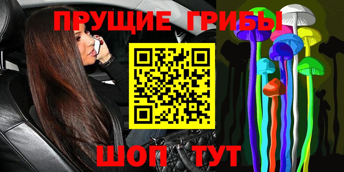 Псилоцибиновые грибы Psilocybine cubensis  Вход с VPN  Чистополь 