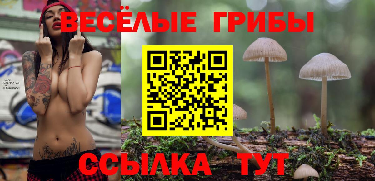 Псилоцибиновые грибы Cubensis Чистополь